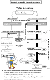 Quy trình thủ tục xử lý vi phạm đỗ xe trái phép