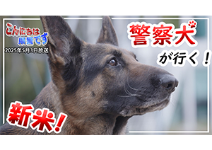 番組サムネイル