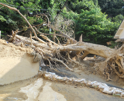 被害状況写真その１