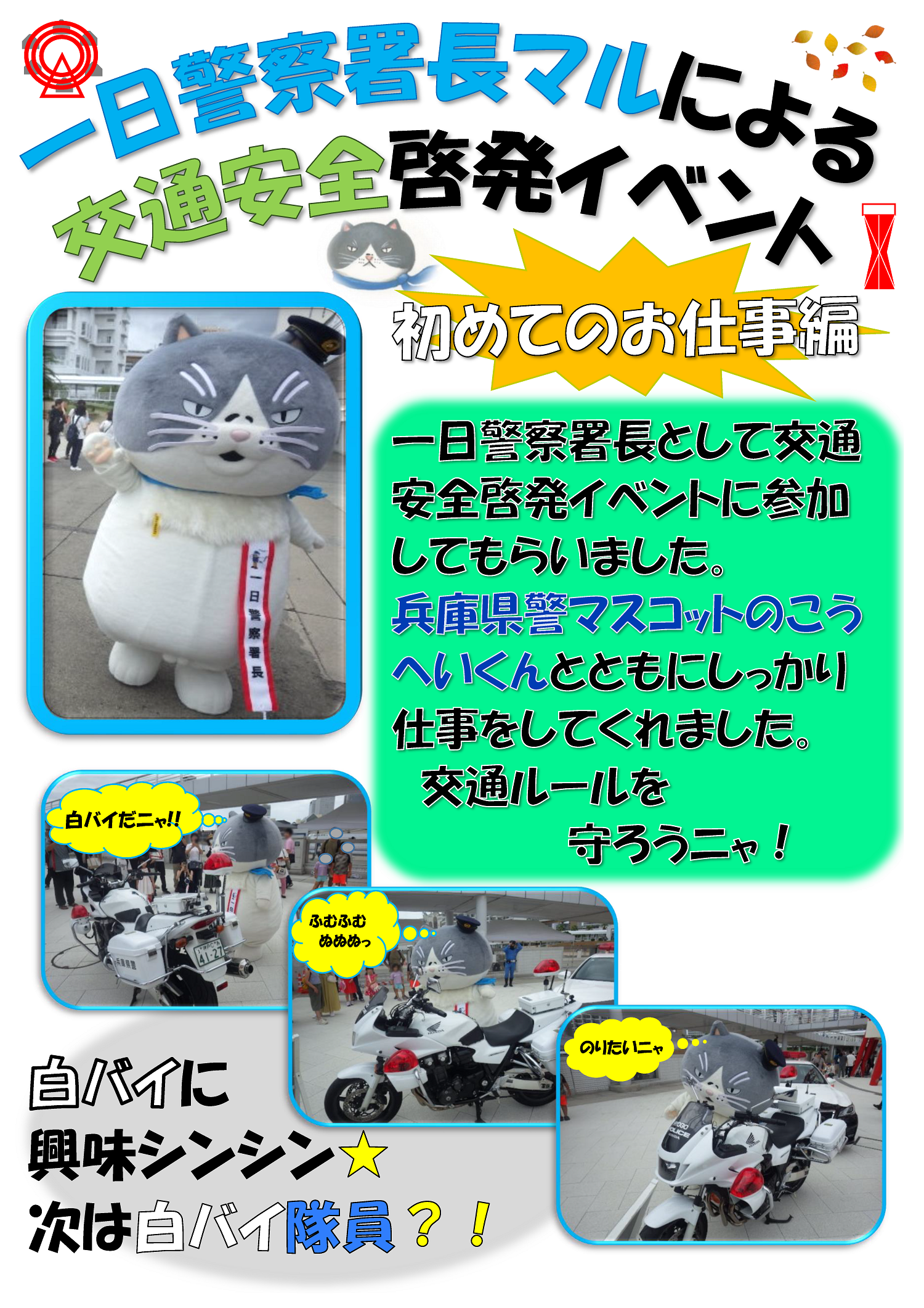 一日警察署長マルによる交通安全啓発イベント　初めてのお仕事編　一日警察署長として交通安全啓発イベントに参加してもらいました。兵庫県警マスコットのこうへいくんとともにしっかり仕事をしてくれました。  交通ルールを　　　　　　守ろうニャ！　白バイに興味シンシン　次は白バイ隊員？！