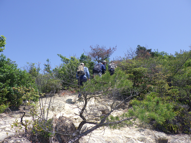 登山訓練状況の写真