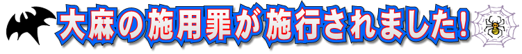 大麻の施用罪が施行されました！