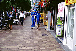 警察犬の写真２