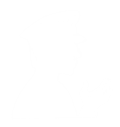 活動内容