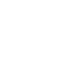 活動内容