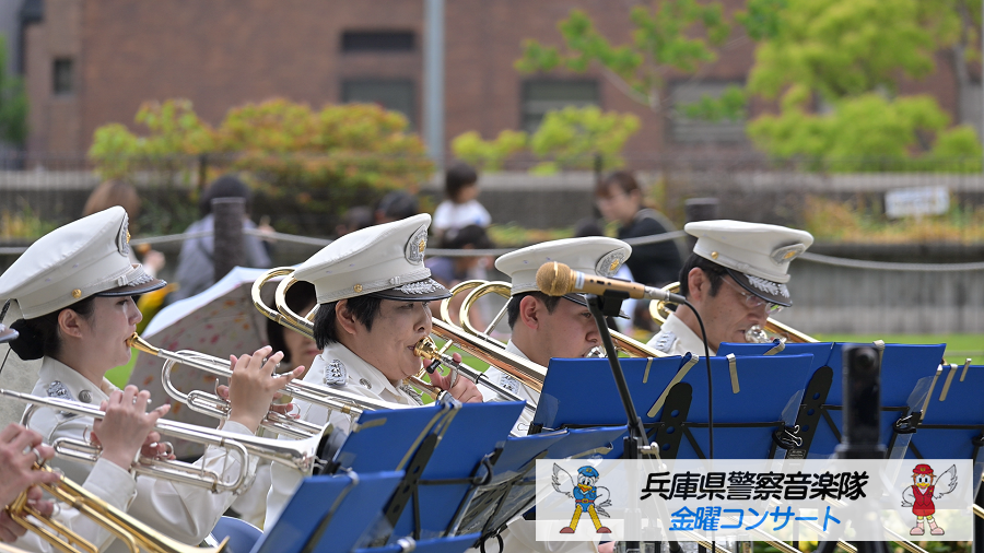 演奏の様子8