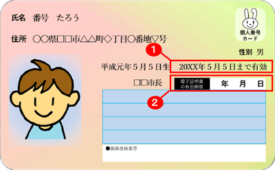 マイナンバーカードの有効期限の記載場所